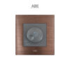 dimmer-den-nau-xam